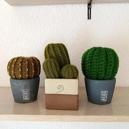 Apartamento Cactus *