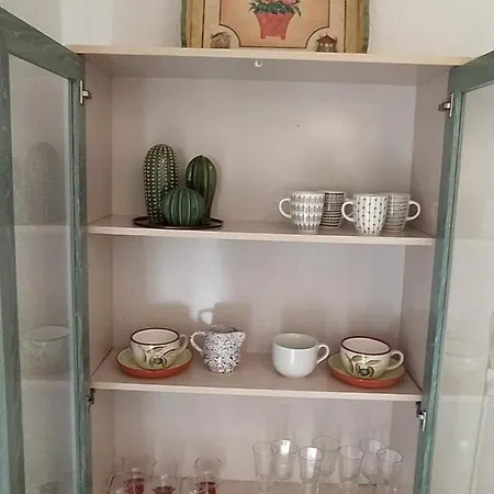 Apartment Apartamento Cactus